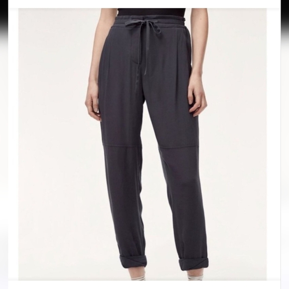 Wilfred Pants - Aritzia Wilfred Marais 100% silk lightweight joggers